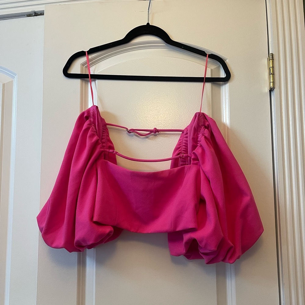 Zara Pink Crop Balloon Top